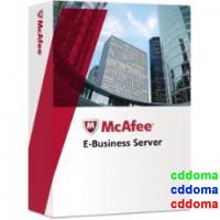 McAfee eBusiness Server: Linux S390, Z Series, OS390 & Z / OS 100-100