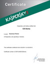 Kaspersky Business Partner