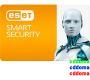 ESET Smart Security (от 2 до 24 ПК)
