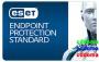 ESET Endpoint Protection Standard (от 5 ПК)