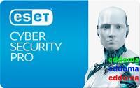 ESET Cyber Security Pro для OS X (от 2 до 24 ПК)