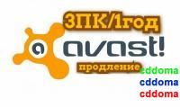 Avast Pro Antivirus 3ПК / 1год Продление